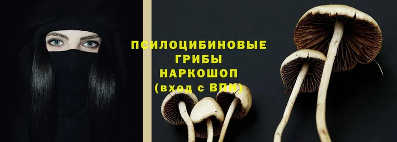 Псилоцибиновые грибы Magic Shrooms  Нерчинск 